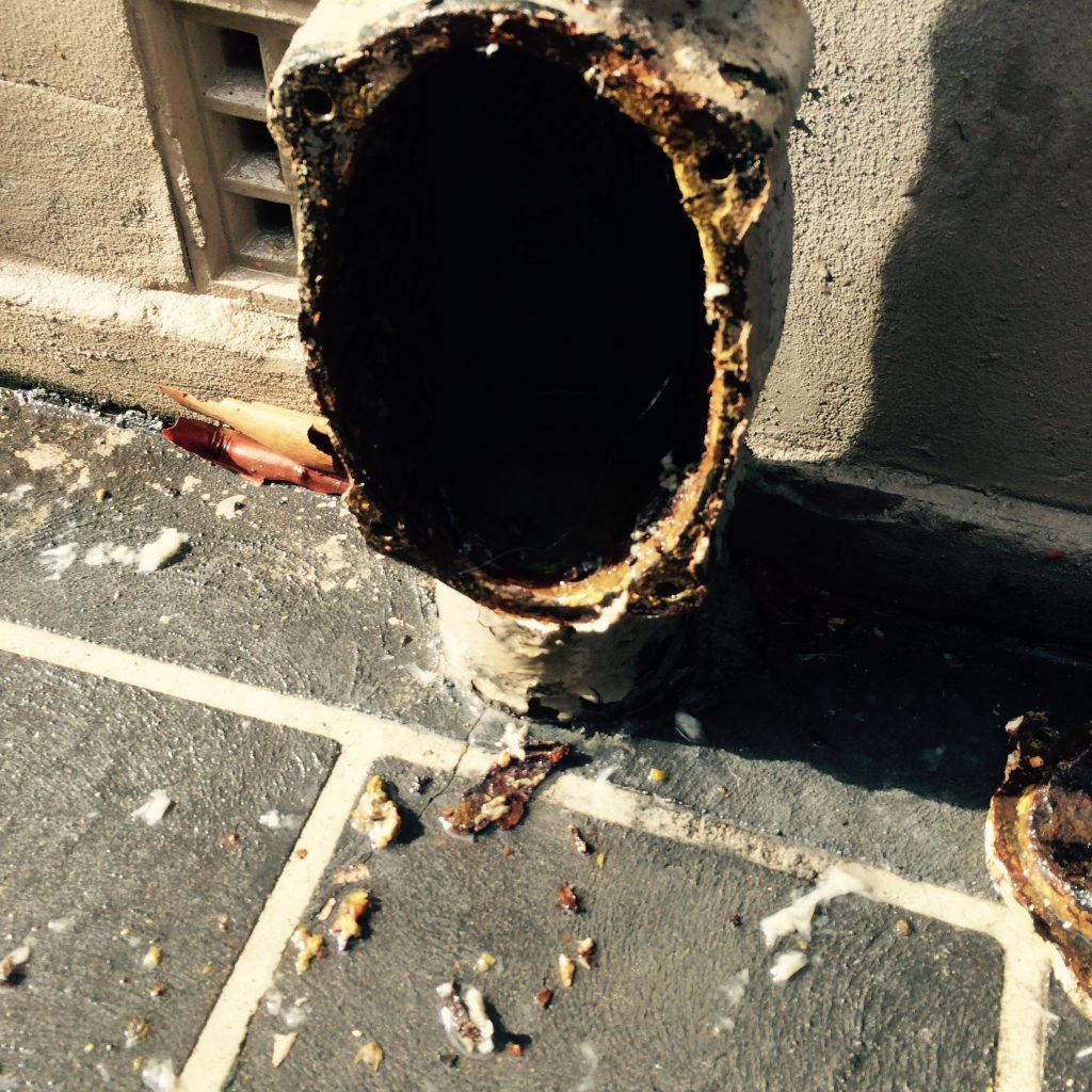 Blocked Drains in North Shore Sydney