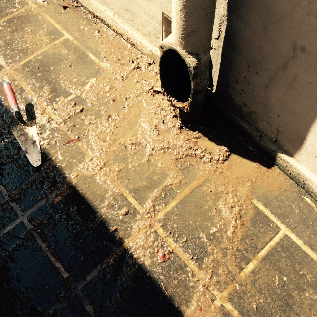 blocked sewer drains in Sydney