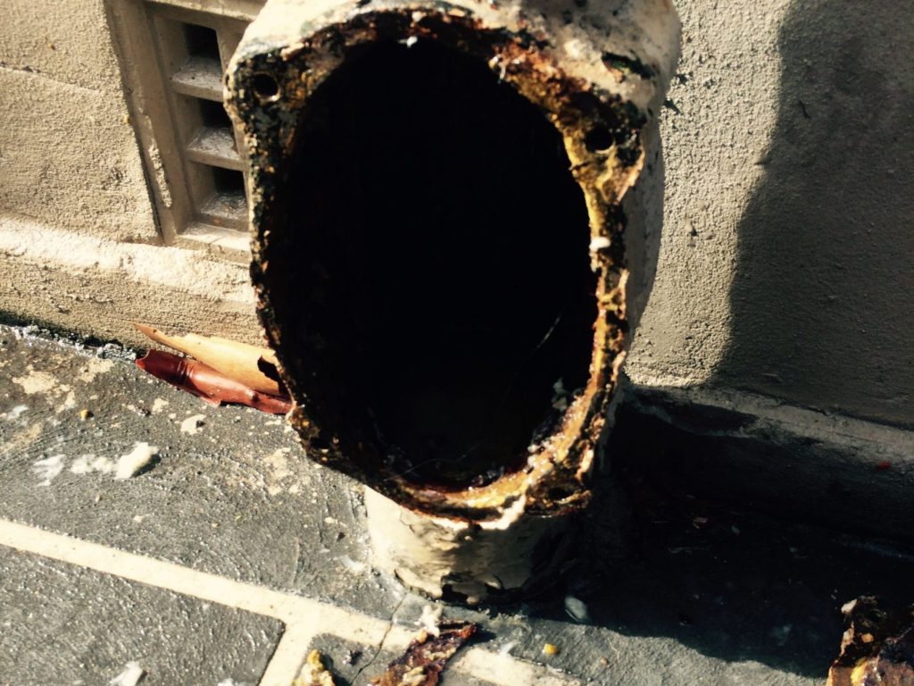 Blocked Drain in North Shore Sydney