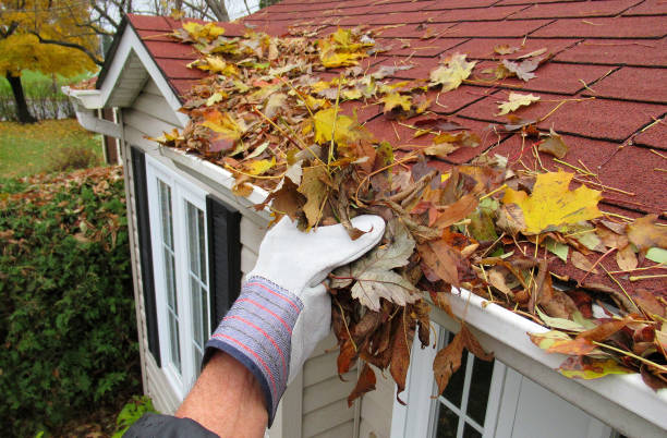 gutter clean Five Dock
