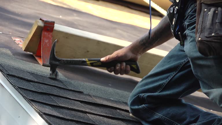 Roof tile repair in Hunters Hill