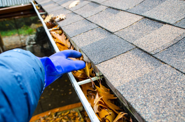expert gutter cleaning five dock