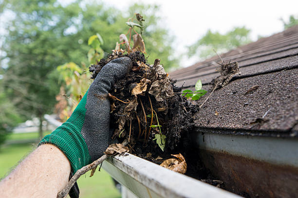 Gutter cleaning services in Five Dock