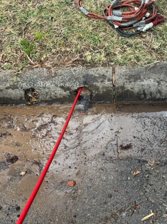 Screenshot 2026-03-11 102529